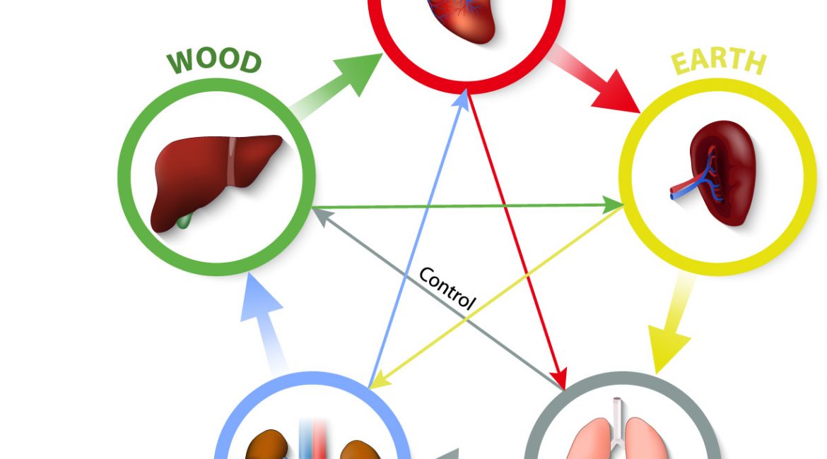 Acupuncture Theory: The Five Elements and Twelve Officials